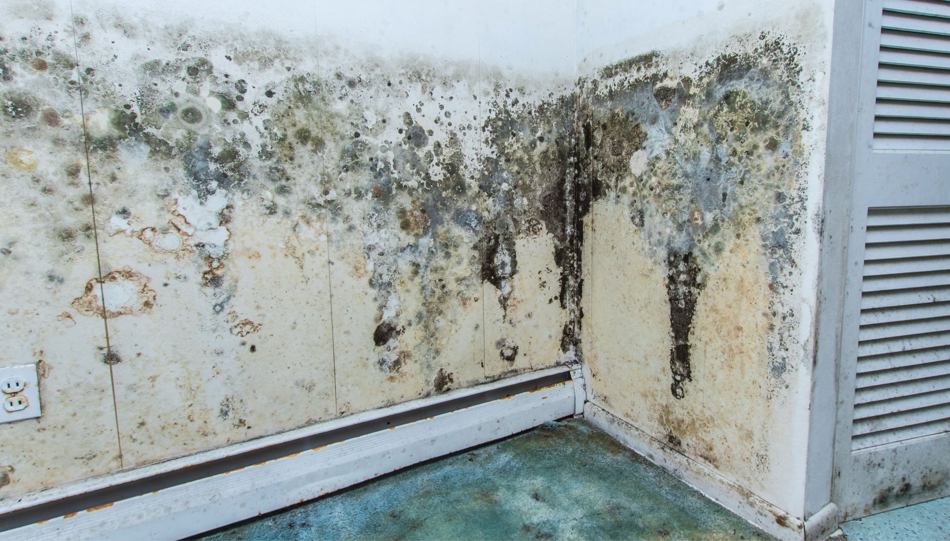Professional mold removal, odor control, and water damage restoration service in Portland, Oregon.