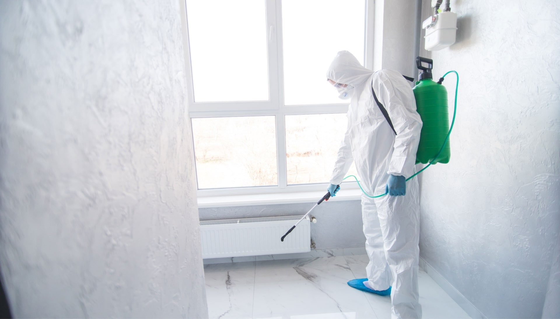 We provide the highest-quality mold inspection, testing, and removal services in the Portland, Oregon area.